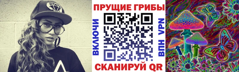 Галлюциногенные грибы мухоморы  Полярный 